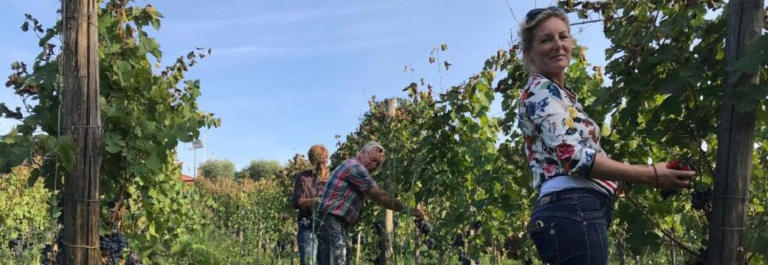 Le Masciare, vitigni autoctoni